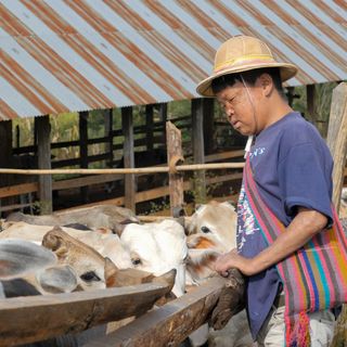 2017: Reise und Projektbericht - Loilem, Myanmar, Bild 14