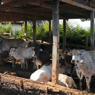 2017: Travel and Project Report of the St. Lazarus-Fonds Europe, Bild 13