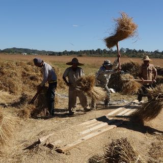 2014: Loilem, Myanmar, Bild 6